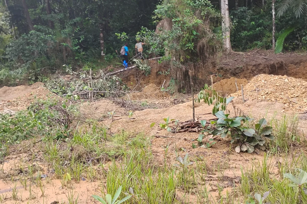Overview of previously disturbed ground in the River Cess field area